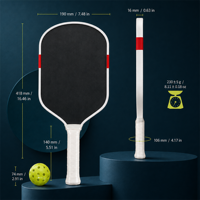 Raquette de pickleball en fibre de carbone avec noyau EPP EVA, surface rugueuse, construction pressée à chaud pour équipement sportif en gros