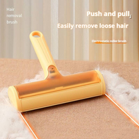 Outil de nettoyage réutilisable en plastique pour enlever les poils d'animaux, pour chiens, chats, tapis, canapés, vêtements, usage domestique