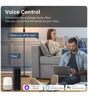 Smartdust Tuya 16A MINI WiFi Commutateur pour Smart Life Travail Alexa Google Home Alice-2-way Télécommande Minuterie Relais DIY ODM