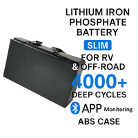 12V 120Ah ABS Casing ringan LiFePO4 Slimline baterai untuk RV 4x4 Offroad listrik Back up Lithium Ion paket baterai