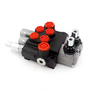 Válvula Direccional Monobloque de 2 Bobinas P40-G12-G38-OT-QTW, Fabricante de Piezas para Maquinaria de Construcción - Product Image 1