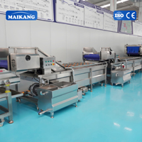 100 Stoom Elektrische Automatische Voedselveilige RVS Blancheringslijn voor Fruit en Groenten Voorbehandelingsapparatuur Machine