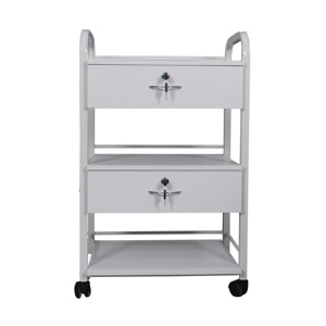 Grosir modis putih penata rambut Salon kecantikan Spa bingkai lukisan perabotan keranjang penyimpanan troli Salon dengan roda bergulir - Product Image 4