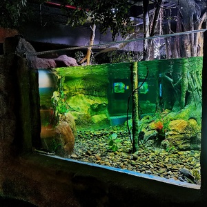 중국 공급 업체 거대한 어항 수족관, 현대적인 디자인 오션 월드 수족관 @ - Product Image 3