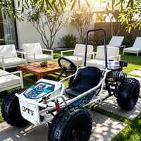 Kart à essence 212CC avec volant, buggy tout-terrain pour adultes, buggy à 4 roues pour divertissement en plein air