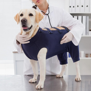 Traje de recuperación quirúrgica <span class=keywords><strong>para</strong></span> <span class=keywords><strong>perros</strong></span>, diseño de heridas antilamidas, transpirable, cómodo, <span class=keywords><strong>para</strong></span> <span class=keywords><strong>perros</strong></span>, mono de recuperación, <span class=keywords><strong>chaleco</strong></span> <span class=keywords><strong>para</strong></span> mascotas postoperatorio - Product Image 3