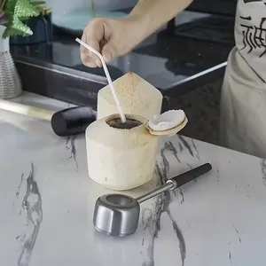 Conjunto de ferramentas para cozinha, martelo de coco em aço inoxidável 4 peças, abridor de coco principal