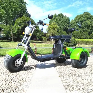 新的1000w2000w 60v12/20ah两个可移动电池双座citycocoe自行车自行车3轮胖轮胎电动摩托车踏板车