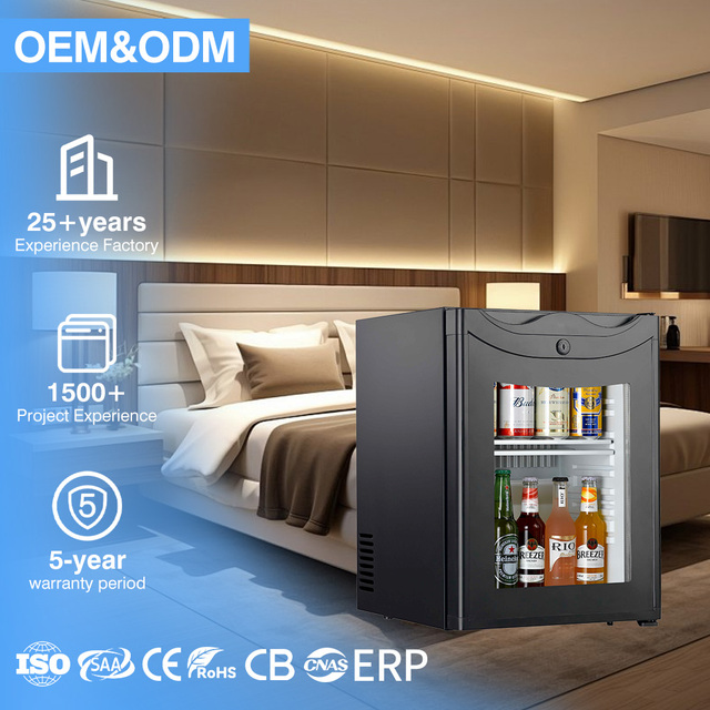 Portable 40L Energy Efficient Low Noise Stainless Steel Cosmetic Fridge Mini Beauty Refrigerator 5 Year Warranty for Car Hotel