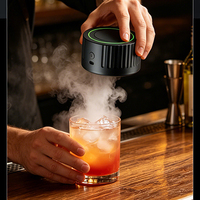 Fumeur à whisky électrique, infuseur de fumée pour vin, machine à fumer automatique, appareil à fumer les boissons portable, bar, ABS+PCB, moderne