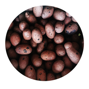 Vật liệu xây dựng bán buôn Trọng lượng nhẹ mở rộng Leca đất sét Balls cho vườn Nguồn cung cấp cho bê tông xây dựng kỹ thuật - Product Image 5