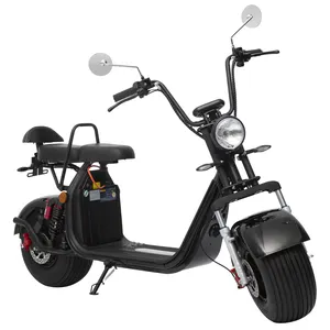 Livraison rapide Europe E Citycoco Scooter électrique CEE COC avec gros pneu pour hors route