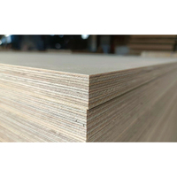 Panneau de contreplaqué de bouleau de haute qualité 4x8, 12 mm, 18 mm, panneaux de bouleau imperméables, contreplaqué marin pour la décoration de meubles au design moderne