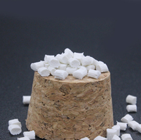 Compuesto PBT Gf30 Resina Pellet Modificado PBT Gránulo de materia prima para piezas de automóviles