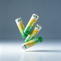 Batterie liquide lithium-ion rechargeable USB Type-C AA 1,5 V 2500 mWh avec port USB GMCELL 1000 cycles