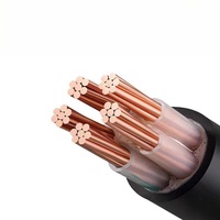 Cable de Bajo Voltaje YaLi 0.6/1kV WDZC-YJY de 2 Núcleos, Conductor de Aluminio, Aislamiento XLPE, Revestimiento de PVC, Clasificación IP68, para Uso Industrial y en Edificios