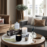 Coffret Cadeau Décoration Maison Écologique DIY Luxe Platine – Bougie en Verre Parfumée Faite Main et Diffuseur à Bâtonnets Longue Durée Fraîcheur Assurée