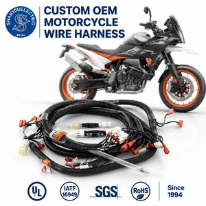 Câble adaptateur de faisceau de câblage pour moto électrique en cuivre étamé sur mesure, gaine PVC, 240V/110V, 2*0.5mm² - Product Image 1