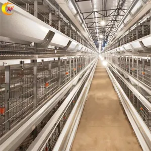 Cages d'éleveur automatique de batterie de pondeuse de poulet d'équipement de volaille de poule aux Philippines