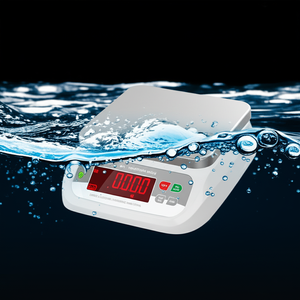 डिजिटल नेतृत्व में दोहरी स्क्रीन IP68 वाटरप्रूफ रेटिंग बहु कार्यात्मक काउंटर वजन स्केल - Product Image 6