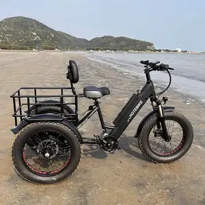 Bakfiets – vélo cargo électrique néerlandais 1000w à gros pneus, trike 750w à entraînement central, non électrique, bafang/vélo électronique