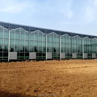 Grande serre en verre agricole avec couverture de toit en polycarbonate et mur de verre pour serre de jardin à vendre