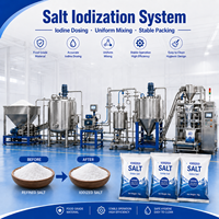 Ligne de séchage, de mélange et d'emballage du sel iodé pour les usines de sel alimentaire