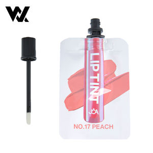 Sachet Lip Gloss Isi Ulang 10ml 30ml Custom Print untuk Sampel Merek Kosmetik, Lip Tint dengan Spout Pouch dan Kuas Aplikator Makeup - Product Image 1