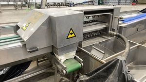 Bon prix Strauss 1 ligne pour les asperges en Allemagne utilisé tri des légumes classement des fruits ligne de traitement automatique intelligent des fruits - Product Image 6