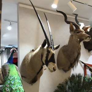 Decoración de Pared para el Hogar, <span class=keywords><strong>Hotel</strong></span>, Club, <span class=keywords><strong>Villa</strong></span>, Colección de Arte de Decoración de Pared con Cabeza de Antílope - Product Image 4