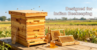 Auf Lager: Doppelschichtiger Langstroth-Bienenstock aus Tannenholz für indische Imkerei – Großhandel