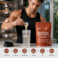 Poudre de protéines végétales isolées de qualité supérieure pour la remise en forme, post-entraînement, végétaliennes, à faible MOQ, fabrication directe usine, OEM, délai de livraison rapide