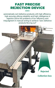Sistema di ispezione visiva con riconoscimento caratteri OCR per il riconoscimento dei caratteri sulla superficie, la verifica dei dati e la validazione del numero di batch. - Product Image 6