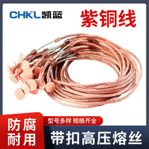 Ac High Voltage Fuse 10 Kv Silver Alloy <b>Clip</b> On For Transformer Drop Out Fuses - Product Image 5