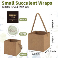 Sacs d'emballage de plantes succulentes en carton kraft autocollants de croissance petites boîtes-cadeaux succulentes mariage fête prénatale faveurs invités boîte à plantes