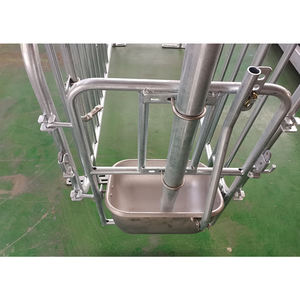 ลังตั้งครรภ์หมูมีการออกแบบให้ผิวเรียบเนียนสำหรับฟาร์มเลี้ยงหมูในสภาพใหม่ - Product Image 2