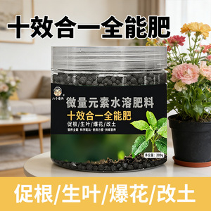 200g - Product Image 4