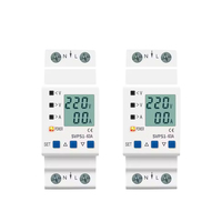 Disjoncteurs miniatures réglables 63A 80A 110V 230V à montage en surface, bipolaires, 6kA, avec protection contre les sous-tensions et limitation de courant inclus