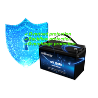 Grenergy Smart APP 12.8V 200Ah LiFePO4 Batterie intégrée BMS 2560Wh Batterie au lithium 10 ans de durée de vie Batterie au lithium 12v 100Ah