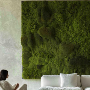 Imortal Natural Profesional para Pared, Musgo Imortal Hecho a Medida, Decoración de Pared, Musgo Preservado - Product Image 6