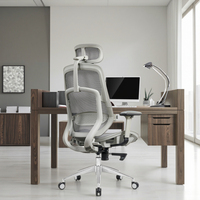 Chaise de bureau exécutive réglable en maille ergonomique avec base pivotante en acier moderne, vérin à gaz certifié classe 3, soutien lombaire réglable pendant 3 ans