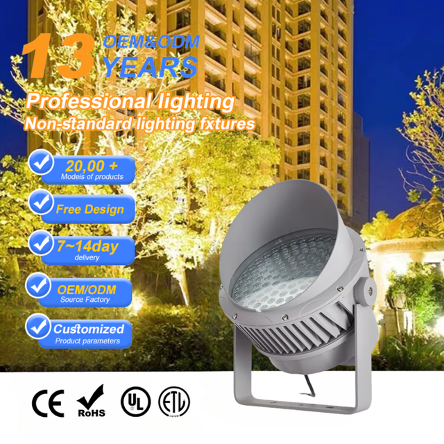 Modern 50W 100W IP66 Waterproof COB LED Flood Light with Industrial Design for Marine Applications
