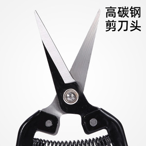 Long Straight-Tipped Pruning Shears Steel Blade Bypass Type For Fruit Vegetable Grape Picking Zhejiang Origin - Product Image 3