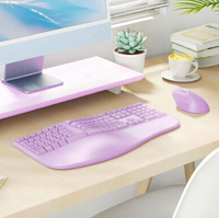 Ensemble clavier et souris sans fil ergonomique DirectorC_2 avec rétroéclairage RGB et repose-poignets pour ordinateur portable - En stock