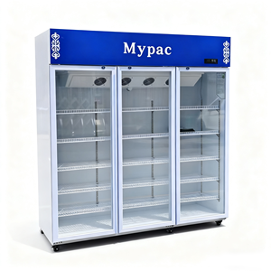 Soda nước giải khát nước trái cây Máy làm lạnh bia Bar hiển thị tủ lạnh rượu vang mát đôi Nhiệt độ làm mát không khí tủ lạnh - Product Image 5