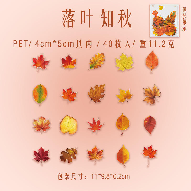 D Falling leaves know autumn