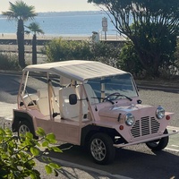 Mini Moke électrique rose 96V en acier, homologué pour la route, pour AWD, 4 places, adulte, kit de voiture classique chinois, buggy à vendre
