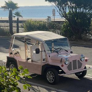 <span class=keywords><strong>Mini</strong></span> <span class=keywords><strong>Moke</strong></span> électrique rose 96V en acier, homologué pour la route, pour AWD, 4 places, adulte, kit de <span class=keywords><strong>voiture</strong></span> classique chinois, buggy à vendre - Product Image 2