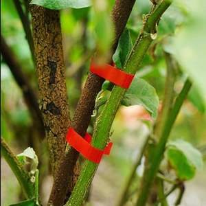 CINTA para TIE PLUNGER 11x26mm Color verde Producto de plástico agrícola - Product Image 5