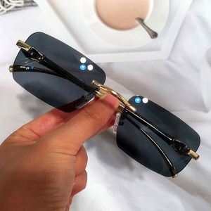 แว่นกันแดดทรงสี่เหลี่ยมเล็กไร้กรอบ รุ่นใหม่ล่าสุดปี 2022 แฟชั่นผู้หญิง สีสันสดใส โลหะผสม ลายเสือดาว สำหรับผู้ชาย - Product Image 3